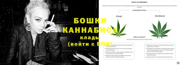 ALPHA-PVP Бердск