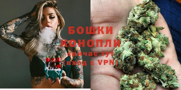мдпв Горняк
