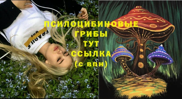 мдпв Горняк