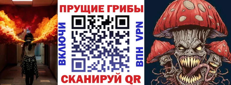 Псилоцибиновые грибы прущие грибы  МЕГА сайт  Данилов 